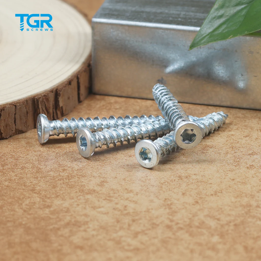 TGR/Tsingri Zinc Coated Torx CSK Head Full Thread Cement Screws Concrete Screws