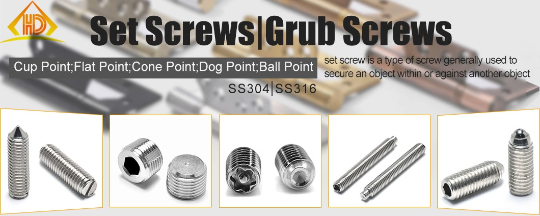 Professional DIN915 Hex Socket Set Screw